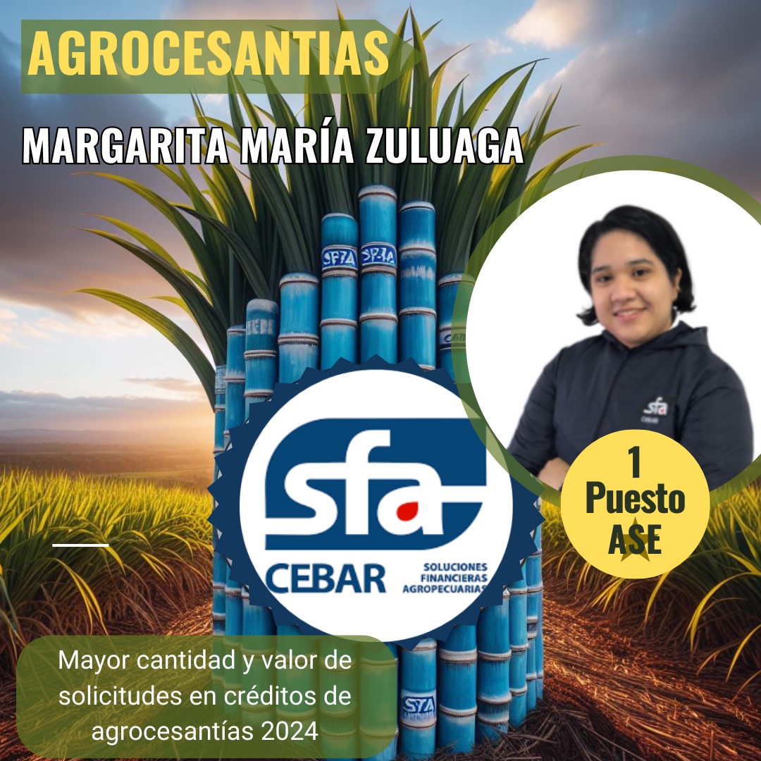 Reconocimiento margarita zuluaga